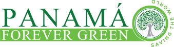 CONSTRUCTORA PANAMA FOREVER GREEN